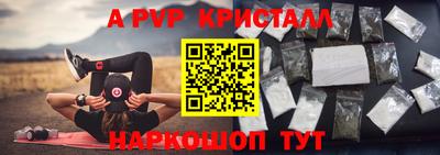 СК Краснознаменск