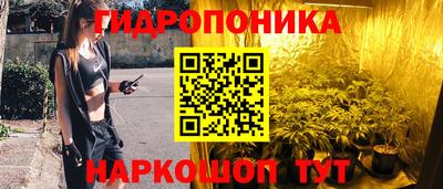 apvp Краснокаменск